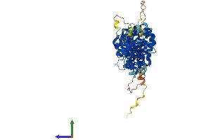 AlphaFold protein structure predicition of Human Recombinant SAAL1 Protein, UniprotID Q96ER3