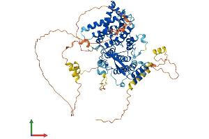 AlphaFold protein structure predicition of Human Recombinant TCF25 Protein, UniprotID Q9BQ70