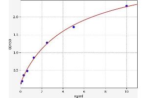 Typical standard curve (DDAH2 Kit ELISA)
