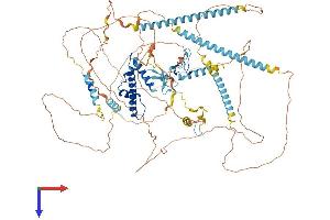 AlphaFold protein structure predicition of Mouse Recombinant Taf3 Protein, UniprotID Q5HZG4