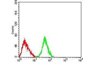 Flow cytometric analysis of Jurkat cells using CD122 mouse mAb (green) and negative control (red).
