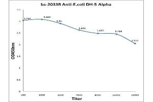 Antigen: 0. (E.Coli Dh-5 alpha anticorps)