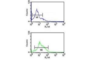 ZO-1 antibody flow cytometric analysis of K562 cells (bottom histogram) compared to a negative control cell (top histogram).