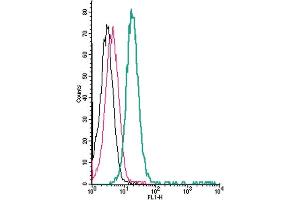 Cell surface detection of TRPV1 by direct flow cytometry in live intact human  monocytic leukemia cells: + Rabbit IgG isotype control-FITC.