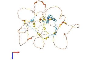 AlphaFold protein structure predicition of Mouse Recombinant Bora Protein, UniprotID Q8BS90