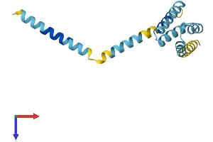 AlphaFold protein structure predicition of Human Recombinant TOMM20 Protein, UniprotID Q15388