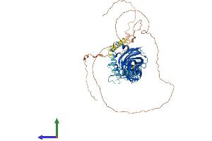 AlphaFold protein structure predicition of Mouse Recombinant Ebf2 Protein, UniprotID O08792