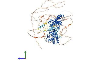 AlphaFold protein structure predicition of Mouse Recombinant Rnf10 Protein, UniprotID Q3UIW5