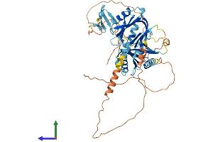 AlphaFold protein structure predicition of Mouse Recombinant Apbb3 Protein, UniprotID Q8R1C9