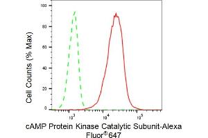 Flow cytometric analysis of cAMP Protein Kinase Catalytic Subunit expression in C2C12 cells using cAMP Protein Kinase Catalytic Subunit antibody (ABIN7797808), 1:2,000). (Recombinant C-AMP Protein Kinase (Catalytic Subunit) anticorps)