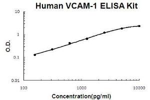 Human VCAM-1 PicoKine ELISA Kit standard curve