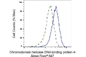 Validation of Chromodomain helicase DNA binding protein 4 knockdown using flow cytometry.