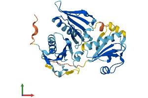 AlphaFold protein structure predicition of Mouse Recombinant Capg Protein, UniprotID P24452