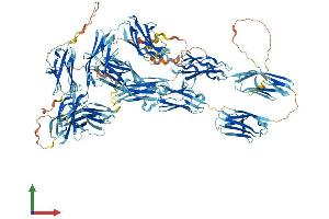 AlphaFold protein structure predicition of Mouse Recombinant Mybpc3 Protein, UniprotID O70468