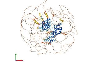 AlphaFold protein structure predicition of Mouse Recombinant Ssh2 Protein, UniprotID Q5SW75