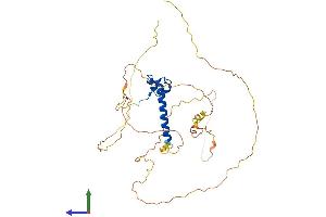 AlphaFold protein structure predicition of Human Recombinant DMRT1 Protein, UniprotID Q9Y5R6