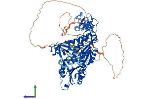 AlphaFold protein structure predicition of Mouse Recombinant Gphn Protein, UniprotID Q8BUV3