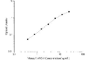 CD80 (CD80) ELISA Kit