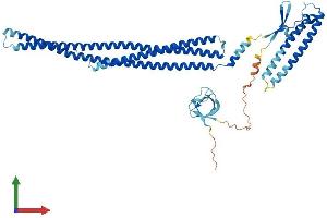 AlphaFold protein structure predicition of Mouse Recombinant Nostrin Protein, UniprotID Q6WKZ7