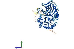 AlphaFold protein structure predicition of Mouse Recombinant Slc3a2 Protein, UniprotID P10852
