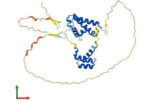 AlphaFold protein structure predicition of Human Recombinant POU6F1 Protein, UniprotID Q14863
