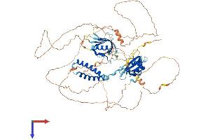 AlphaFold protein structure predicition of Mouse Recombinant Sh2b1 Protein, UniprotID Q91ZM2