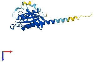 AlphaFold protein structure predicition of Human Recombinant RAB35 Protein, UniprotID Q15286