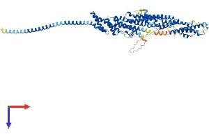 AlphaFold protein structure predicition of Mouse Recombinant Exoc7 Protein, UniprotID O35250