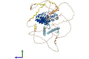 AlphaFold protein structure predicition of Mouse Recombinant Espn Protein, UniprotID Q9ET47