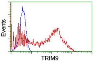 Image no. 2 for anti-Tripartite Motif Containing 9 (TRIM9) (AA 284-669) antibody (ABIN1491326) (TRIM9 anticorps  (AA 284-669))