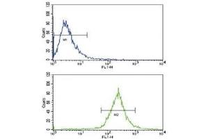 Flow cytometric analysis of WiDr cells using BMPR1A antibody (blue) compared to a negative control (green).