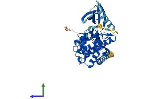 AlphaFold protein structure predicition of Mouse Recombinant Cdkl4 Protein, UniprotID Q3TZA2