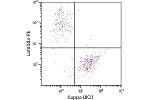 CD19+ human B-lymphocytes were stained with Goat Anti-Human Kappa-BIOT and Goat F(ab’)2 Anti-Human Lambda, Mouse ads-PE.