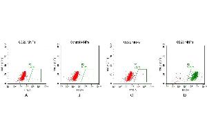 FACS analysis of CD20 MNPs A.