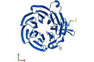 AlphaFold protein structure predicition of Human Recombinant BUB3 Protein, UniprotID O43684