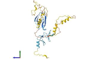 AlphaFold protein structure predicition of Mouse Recombinant Pdlim3 Protein, UniprotID O70209