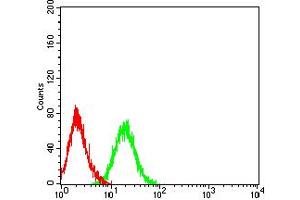 Flow cytometric analysis of HL-60 cells using CD89 mouse mAb (green) and negative control (red).