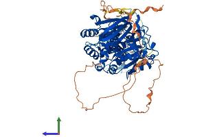AlphaFold protein structure predicition of Mouse Recombinant Sphk2 Protein, UniprotID Q9JIA7