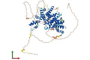AlphaFold protein structure predicition of Mouse Recombinant Ccnf Protein, UniprotID P51944
