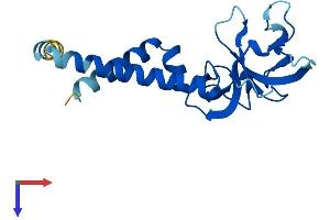 AlphaFold protein structure predicition of Human Recombinant SEC11A Protein, UniprotID P67812