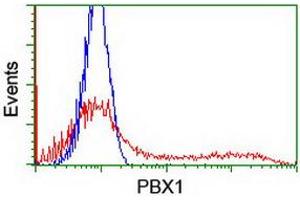 Flow Cytometry (FACS) image for anti-Pre-B-Cell Leukemia Homeobox Protein 1 (PBX1) antibody (ABIN1500046) (PBX1 anticorps)