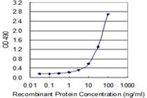 HMGB1 (Human) Matched Antibody Pair