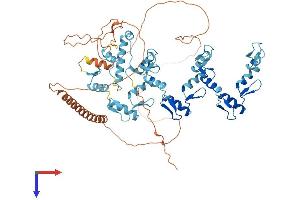 AlphaFold protein structure predicition of Human Recombinant ZNF81 Protein, UniprotID P51508