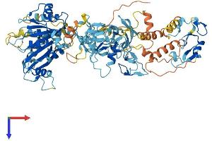 AlphaFold protein structure predicition of Human Recombinant ZFYVE1 Protein, UniprotID Q9HBF4