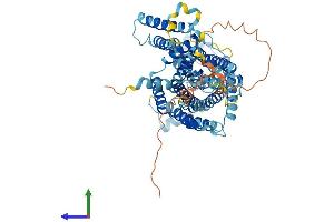 AlphaFold protein structure predicition of Mouse Recombinant Slc7a4 Protein, UniprotID Q8BLQ7