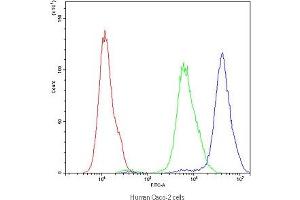 Flow cytometry testing of human Caco-2 cells with APOA1 antibody at 1ug/10^6 cells (blocked with goat sera) (APOA1 anticorps)