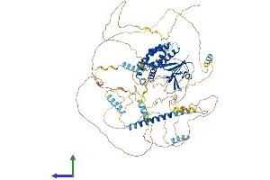 AlphaFold protein structure predicition of Mouse Recombinant Axin2 Protein, UniprotID O88566