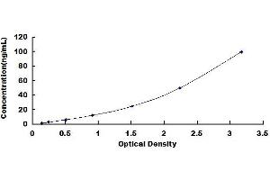 Typical standard curve (CTRB1 Kit ELISA)