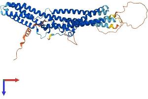 AlphaFold protein structure predicition of Mouse Recombinant Ttyh3 Protein, UniprotID Q6P5F7