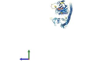 AlphaFold protein structure predicition of Human Recombinant TRIM4 Protein, UniprotID Q9C037